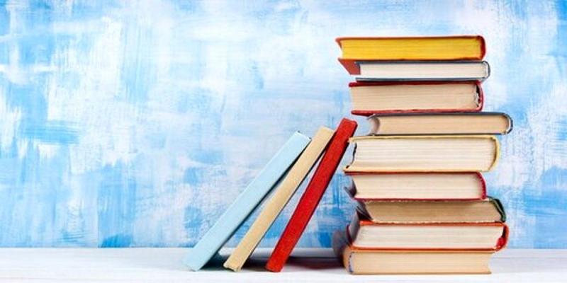 افتتاح «دیدی نو» در شبکه نسیم با موضوع کتابخوانی