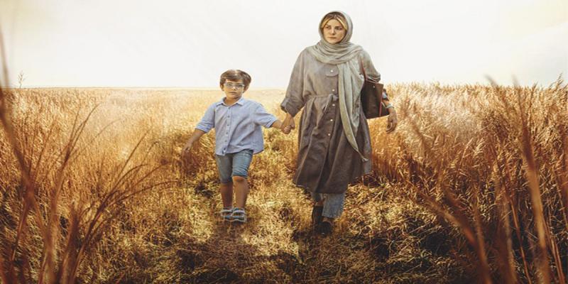 تفسیر پذیری از منظر‌های مختلف