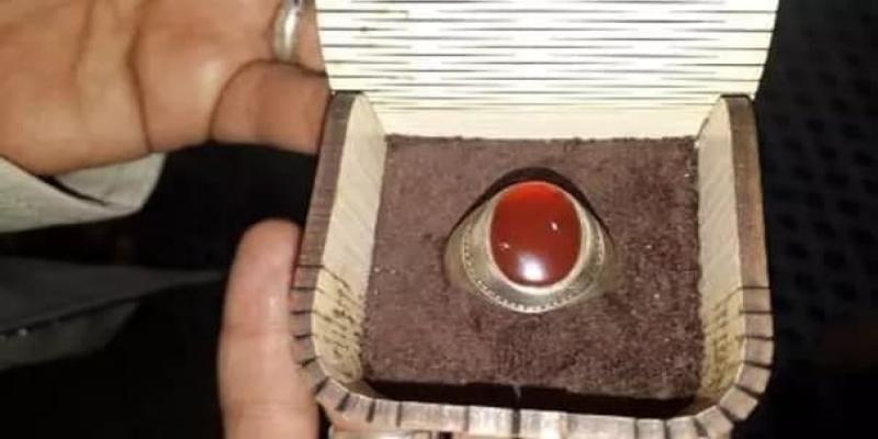 عوامل «زندگی پس از زندگی» به سؤالات مخاطبان پاسخ می‌دهند 