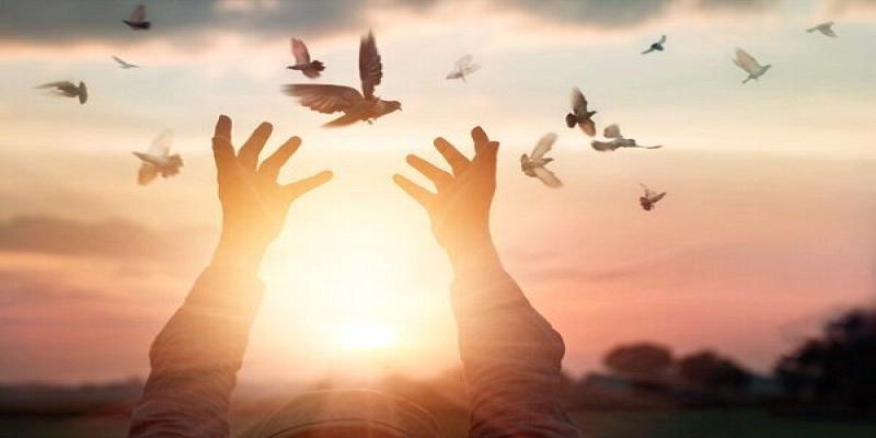 راه‌اندازی «پویش به عشق علی (علیه‌السلام) برای ایتام» 
