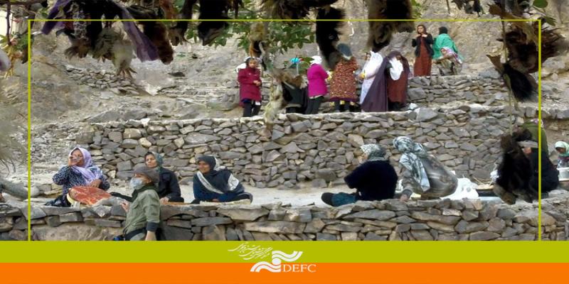 «پری»، مواجهه شاعرانه با زمان، زندگی، مرگ و هستی زنانه