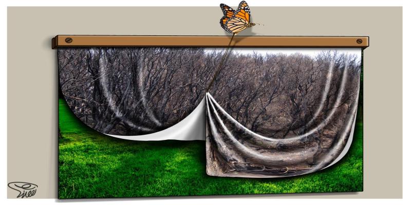 کاریکاتور تولیدی سایت شهید آوینی - شماره 205
