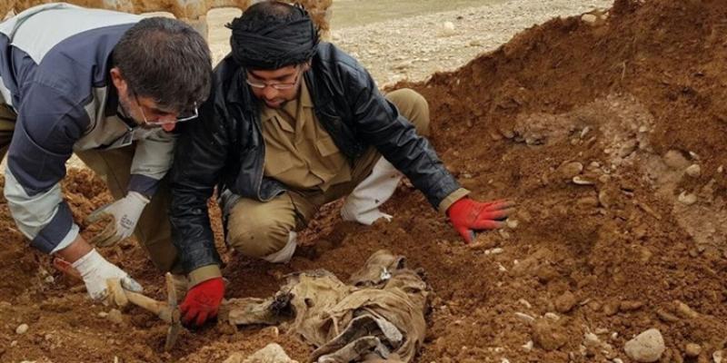 پیکر ۵ شهید در فکه، شرق دجله و سردشت تفحص شد+فیلم
